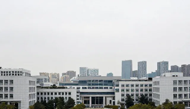 技术外包如何实现多场景支持与性能优化
